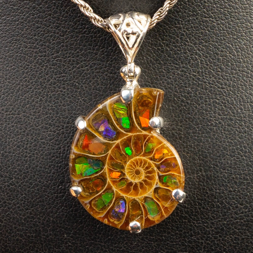Tiantianchaye Fossili di Ammonite Naturale Ciondolo Gioielli Argento